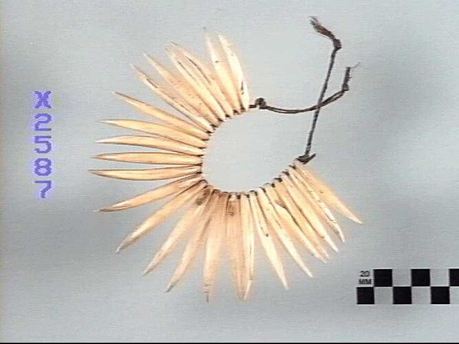 Neck ornament