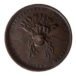 Medal - Horticultural Society of New South Wales, Bronze Prize, New South Wales, Australia, circa 1860
