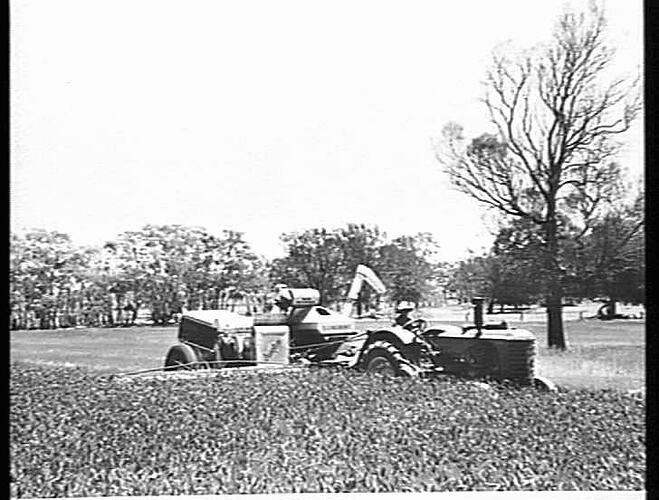 SUNSHINE NO.4 POWER DRIVE HEADER WITH BULK HANDLING OUTFIT AND 55K TRACTOR HARVESTING WHEAT ON THE ESTATE OF C.L.SUDHOLZ NATIMUK VICTORIA