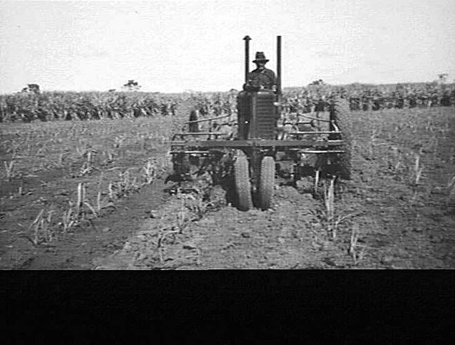 Photograph - H. V. McKay factory and/or equipment