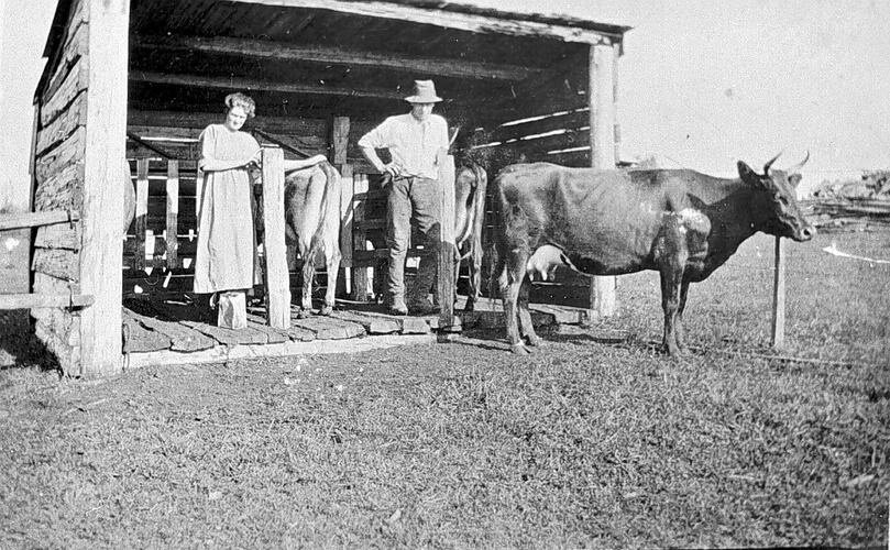 [Mr and Mrs Lockett beside a 'three stall' milking shed, Neerim North, Gippsland, about 1925. The Locketts' property was a First World War soldier settlement farm.]
