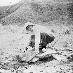 Negative - Woman Crouching on Top of a Turtle, Victoria, 1 Dec 1917