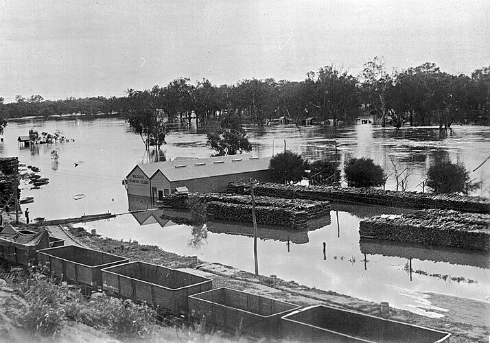 [Goods trucks beside floodwaters of the Murray River, Mildura, 1931.]