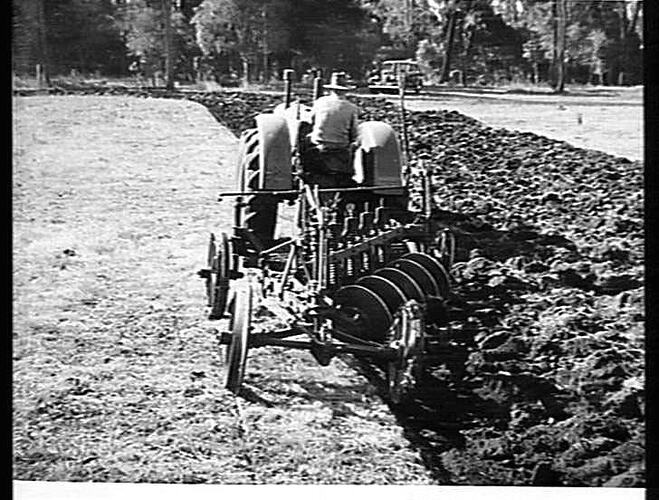 5-FURROW SUNVERTICAL STUMP-JUMP DISC PLOUGH AT WORK ON THE FARM OF MR. JACOBSON, KINGAROY, QUEENSLAND. AUGUST, 1948.