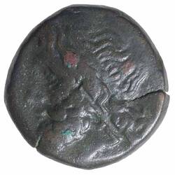 Coin - AE21, Hieron II, Syracuse, Sicily, 275-215 BC