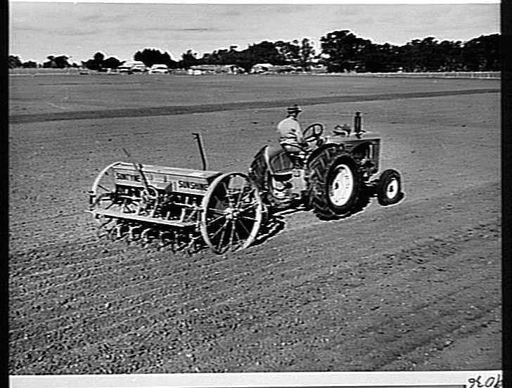 Photograph Hv Mckay Massey Harris Farm Equipment Manufacture And Field Trials 1949