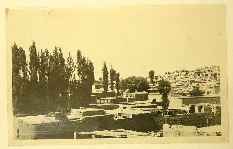 Elevated view of buildings and trees.