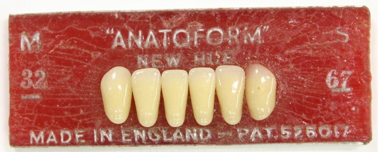 Set of artificial incisor teeth.