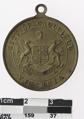 Round bronze coloured medal with coat of arms, text surrounding.