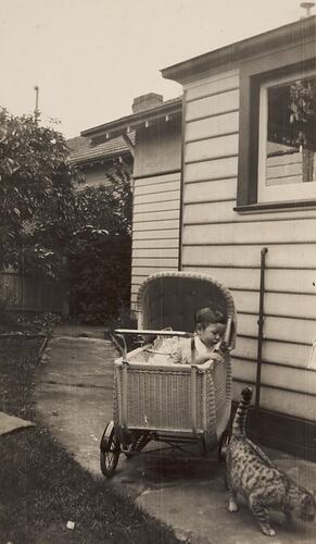 Digital Photograph - Baby in Pram & Cat, Backyard, Ivanhoe, 1939