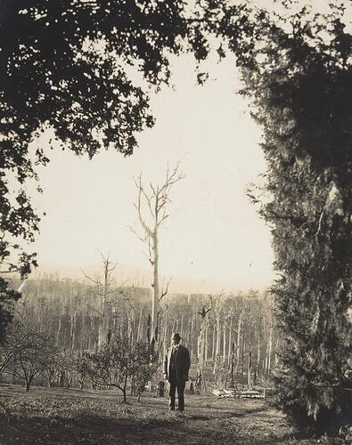 Digital Photograph - Man with Burned out Strezlecki Ranges Behind Him, Won Wron, 1914