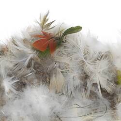 Indigenous basketwork