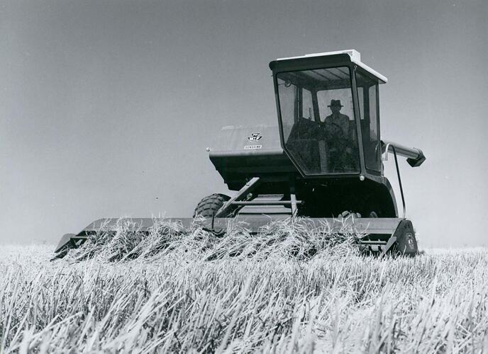 Man driving a harvester fitted with a comb front in field of barley.