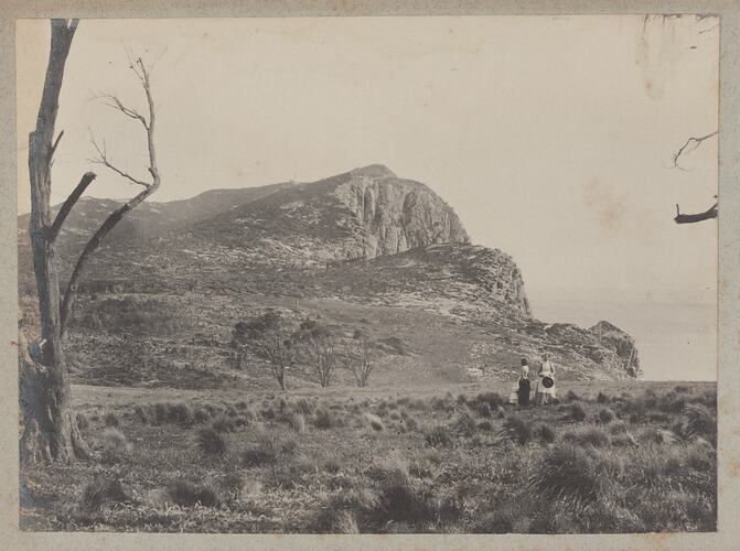 Photograph Album - Field Naturalists' Club of Victoria, Scientific Expedition to Kent Group Islands, Bass Strait, A J Campbell, 1890