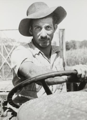 Photograph - Massey Ferguson, Nick Fablas, Cane Farmer, Queensland, 1960s