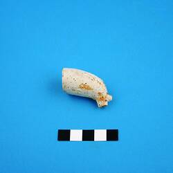 One clay pipe bowl.