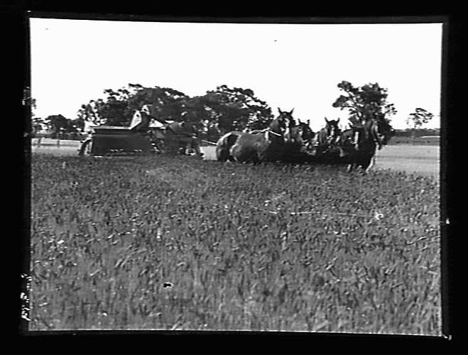 "INTERNATIONAL HARVESTER"