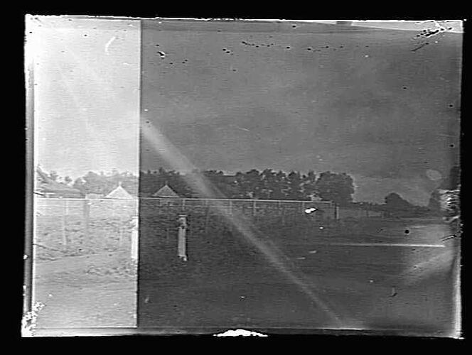 Glass Negative Garden, by A.J. Campbell, Australia, circa 1900