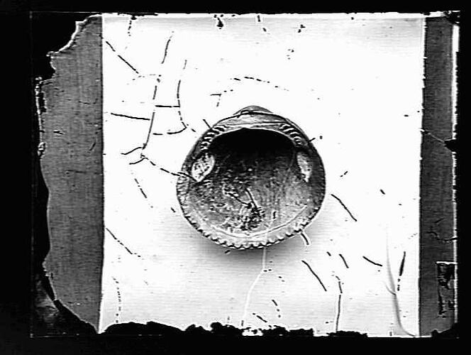 Negative - Glass