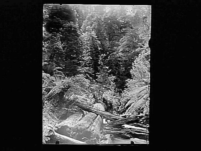 Negative - Glass