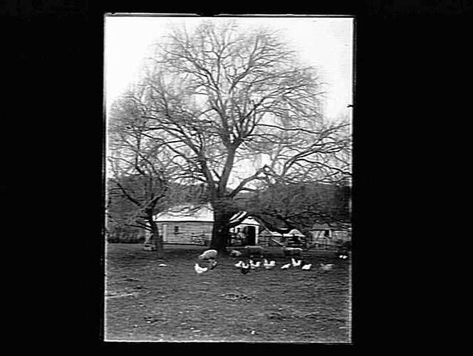 Negative - Glass