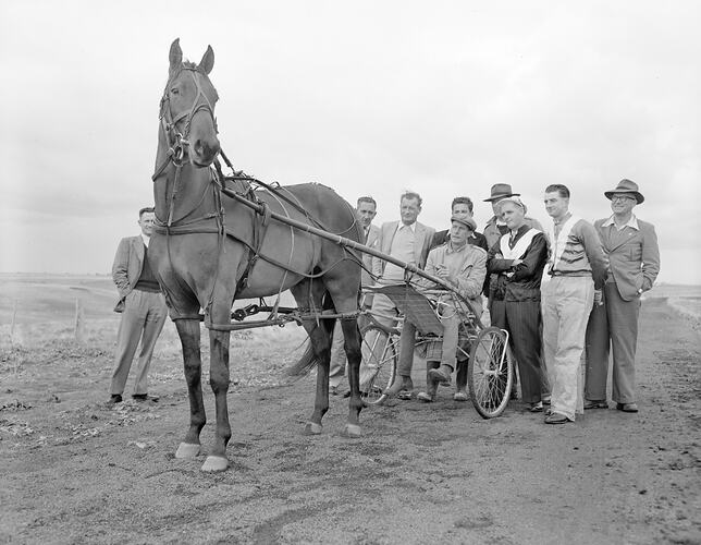 Negative - Group Portrait with Horse, Victoria, May 1954