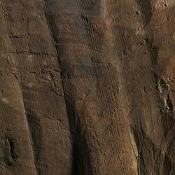 Shield, Australia, Rainforest