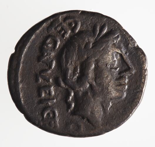 Coin - Quinarius, Ancient Roman Republic, 97 BC