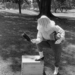 Negative - Woman Wearing Bee Keeping Suit, Victoria, 30 Dec 1959
