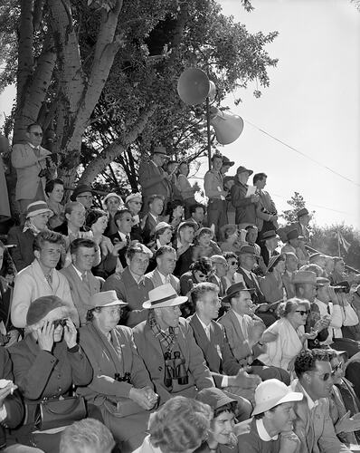 Seated spectators with some standing in the back row. Tree behind them.