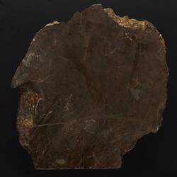 Kulnine Meteorite. [E 4921]