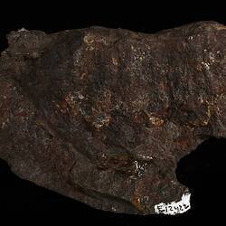 Gilgoin Meteorite. [E 12422]