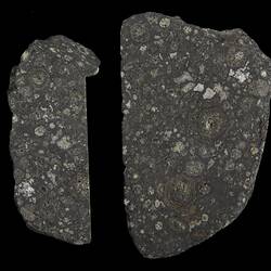 Allende Meteorite. [E 18666]