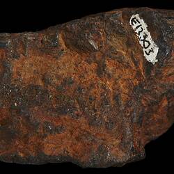 Huckitta Meteorite. [E 12303]