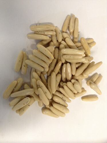 Model of white rice-shaped house fly eggs.