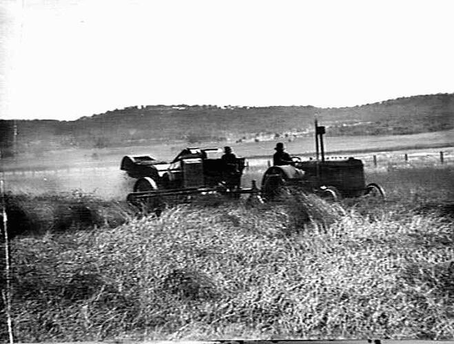 8 FT HEADER ON MR W.S. BAKER'S FARM GUNNEDAH N.S.W. 10 BAGS PER ACRE OF CANBERRA WHEAT