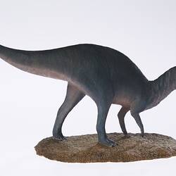 Model of dinosaur