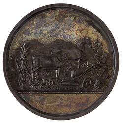 Medal - Horsham & Wimmera District Pastoral & Agricultural Society, Silver Prize, Victoria, Australia, circa 1875