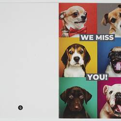 Front and back of card. Front has 6 breeds of dog on coloured backgrounds and white lettering. Back is white.