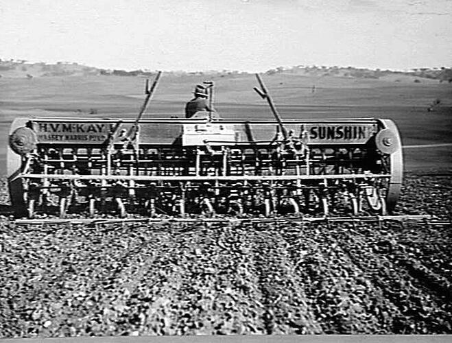 MR. E. V. H. WILSDON: WINNER OF S. AUST STATE CHAMPIONSHIP CROP COMPETITION: 1937-38: SNAPS OF PRIZE WINNING CROP OF `DUNDEE' WHEAT