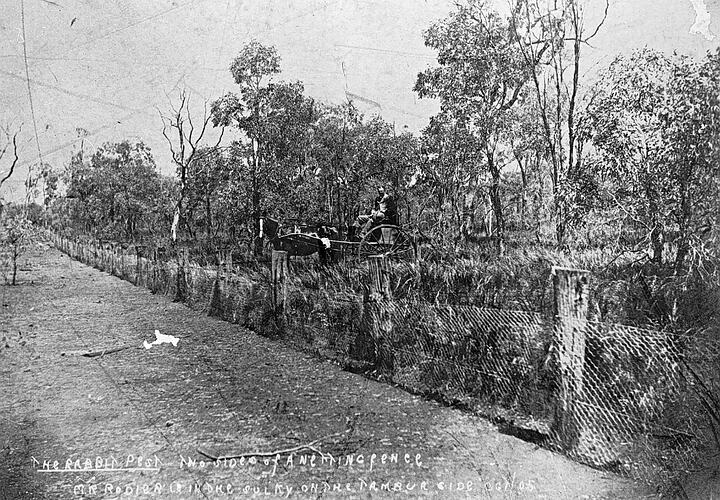 THE RABBIT PEST - THE SIDE(?) OF A NETTING FENCE. MR. RODIER IN HIS SULKY ON THE TAMBUR SIDE. (NB. SOME OF THE LETTERING IS INDISTINCT)