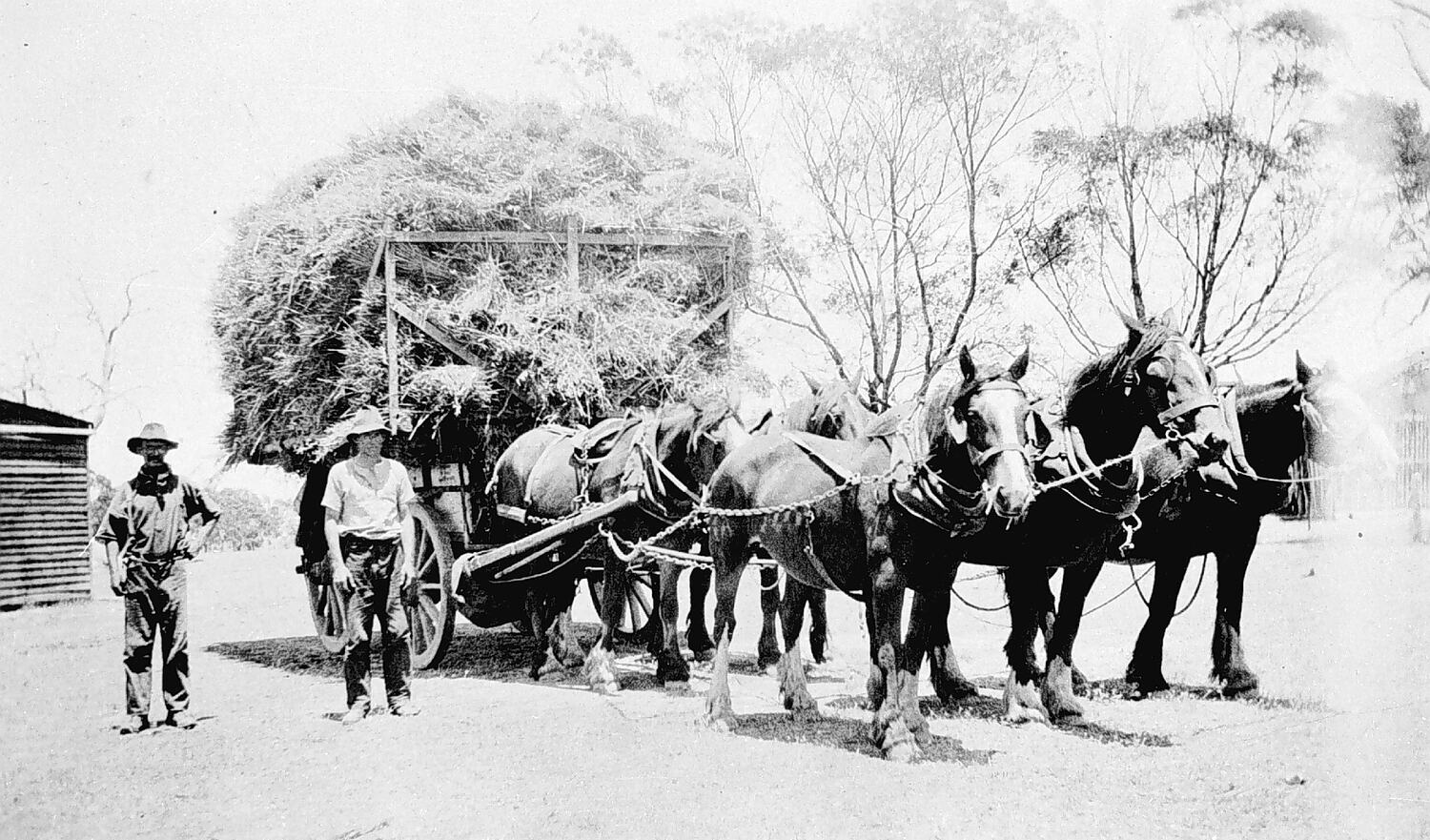 Negative - Wando Vale, Victoria, 1920