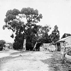 Negative - Sutton Grange, Victoria, 1894