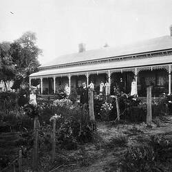Negative - Thoona District, Victoria, 1913