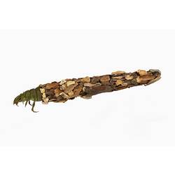 Model of green insect encased in a long shell made of debris.