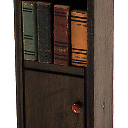 Doll's House and Furniture - Book Case