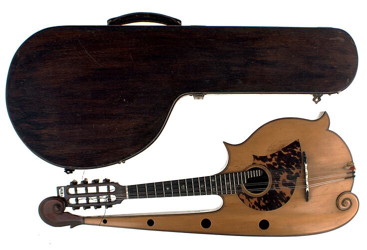 Dark mandolin case with mandolin beside it.