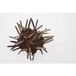 Brown urchin with blunt pale spikes.