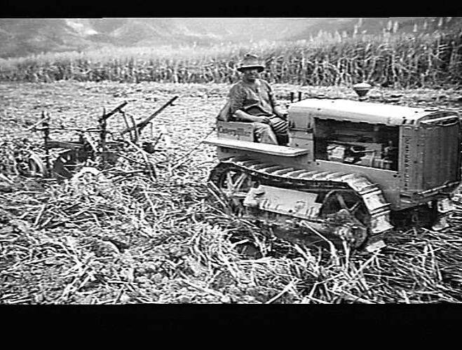 "`SUNLORD' IN SUGAR: MR. SCAGLIONI, REDLYNCH VIA CAIRNS, QLD.: 1937"
