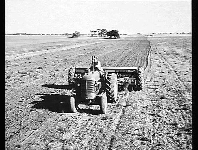`SUNDISCER' FITTED TO 20-ROW 500 SERIES `SUNTYNE' SOWING WHEAT IN LIGHT WEED INFESTED MALLEE COUNTRY ON THE PROPERTY OF MR. W. W. ROBERTS, HOPETOUN, VIC.: JUNE 1955
